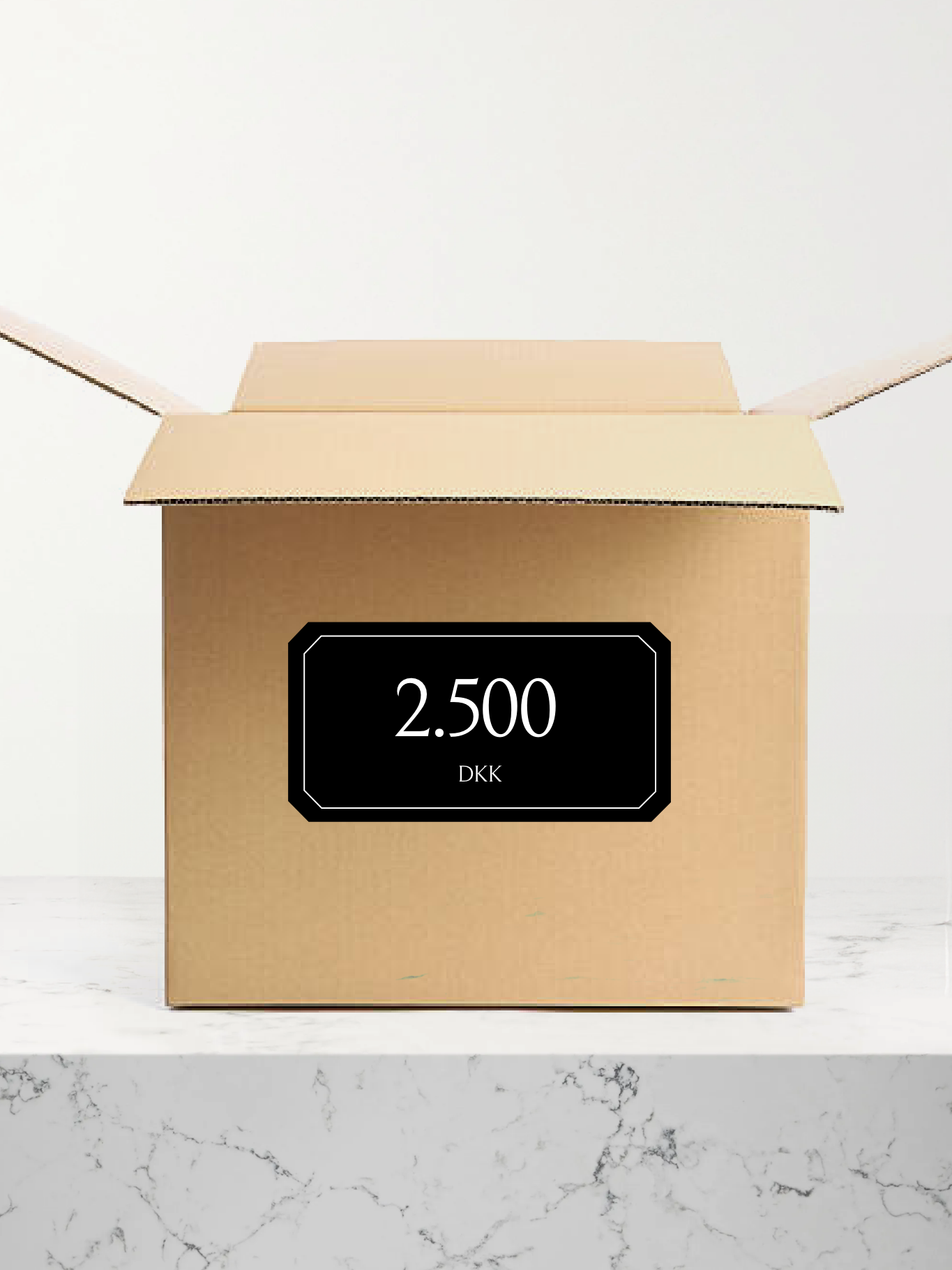 MYSTERY BOX FOR 2.500 DKK